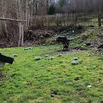 Eifelerlebnis *